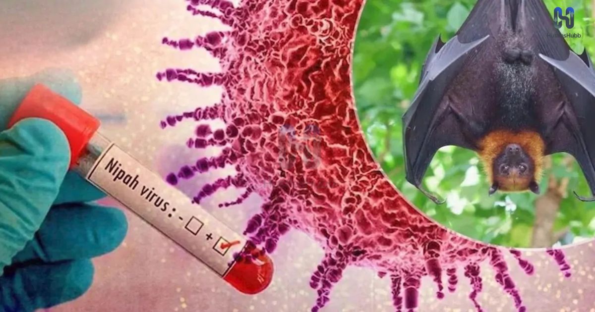Nipah Virus